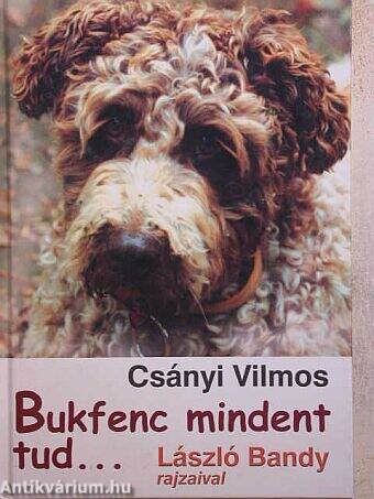 Bukfenc mindent tud...