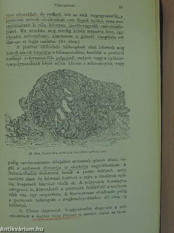 Szülészeti és nőgyógyászati diagnostika/A gyermekbetegségek kórisméje és tünettana/A fogászat és műtéteinek rövid kézikönyve/A foghúzásról