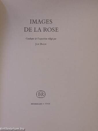 Images de la rose