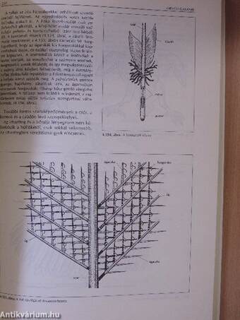 Biológia II.