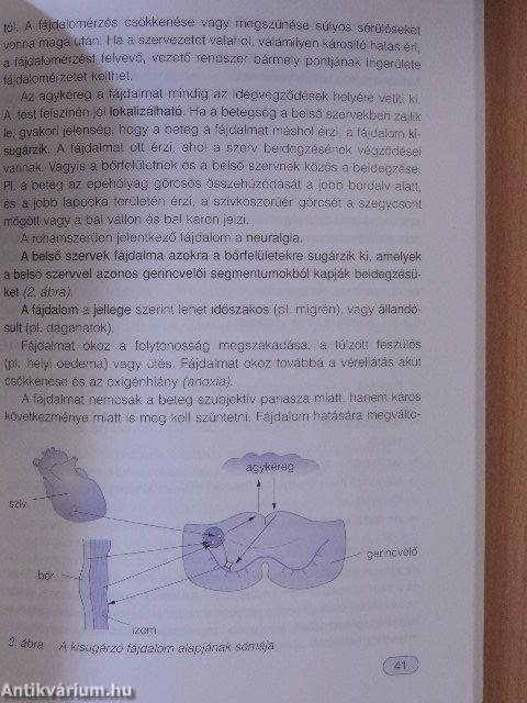 Kórtani alapismeretek