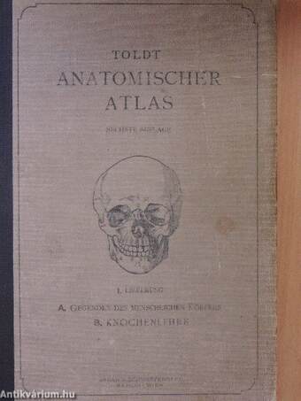 Anatomischer Atlas für Studierende und Ärzte I-VI.