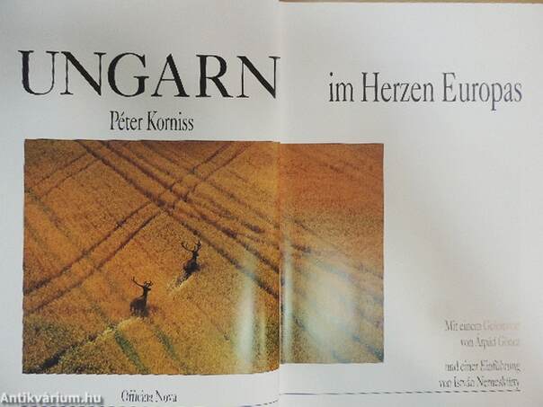 Ungarn im Herzen Europas