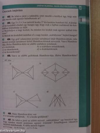 Matematika - Gyakorló és érettségire felkészítő feladatgyűjtemény II.- CD-vel