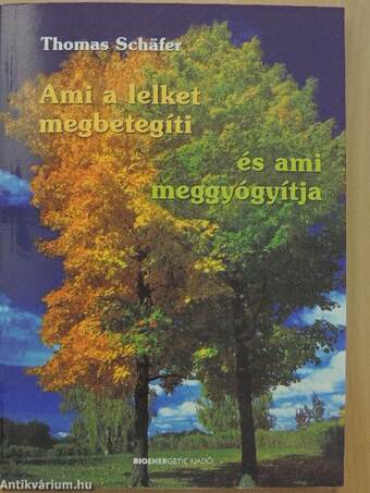 Ami a lelket megbetegíti, és ami meggyógyítja