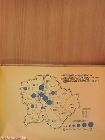 Budapest társadalmának és gazdaságának száz éve