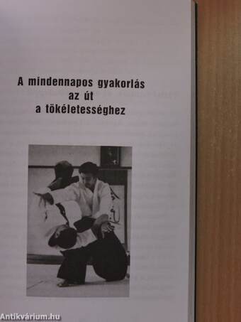 Az aikido szellemisége