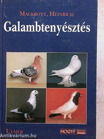 Galambtenyésztés