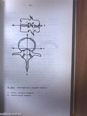 Funkcionális anatómia I-II.