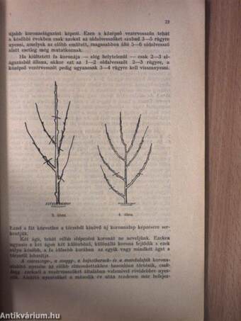 Gyümölcstermesztési és gyümölcsfavédelmi rádiótanfolyam