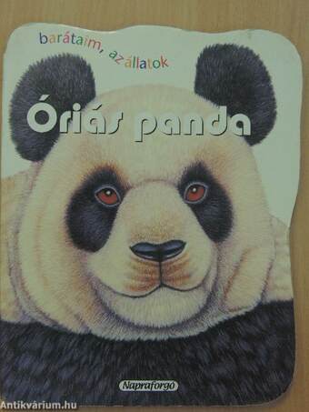 Óriás panda