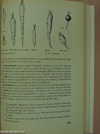 Élelmiszerismeret 1.