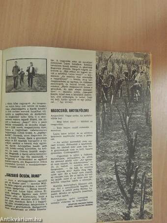 Ifjúsági Magazin 1970. július