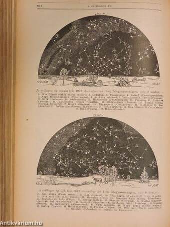 Természettudományi Közlöny 1937. január-december/Pótfüzetek a Természettudományi Közlönyhöz 1937. január-december