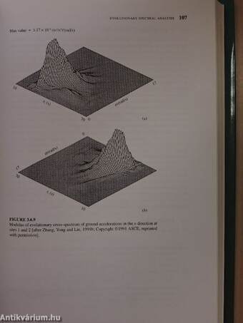 Probabilistic Structural Dynamics