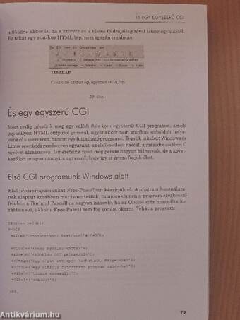 Dinamikus weboldalak, CGI programozás Windows és Linux rendszereken