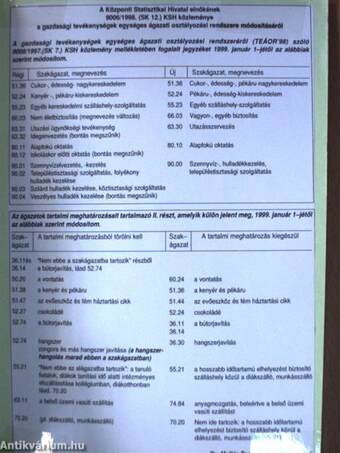 Szolgáltatások meghatározása a rendszerezés rendjében az ágazatok tartalmi meghatározásával