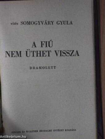 Virrasztó a ködben/Utolsó szárnycsapás/A virágember/A fiú nem üthet vissza