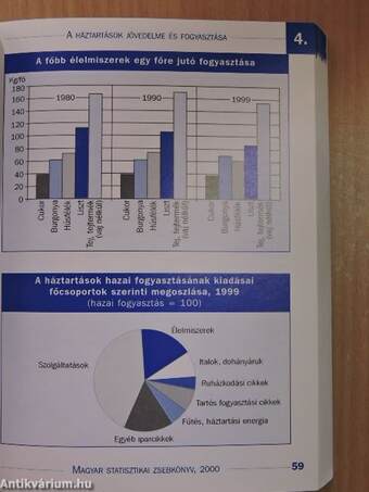 Magyar statisztikai zsebkönyv 2000.