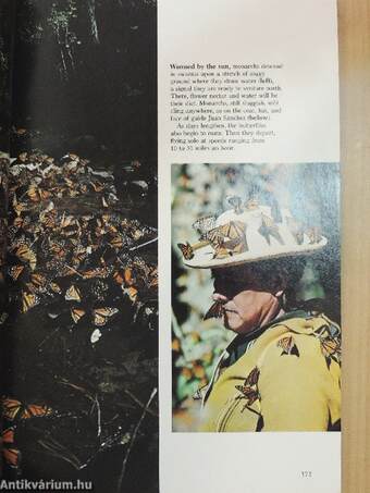 National Geographic August 1976