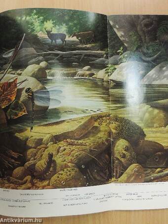 National Geographic April 1977