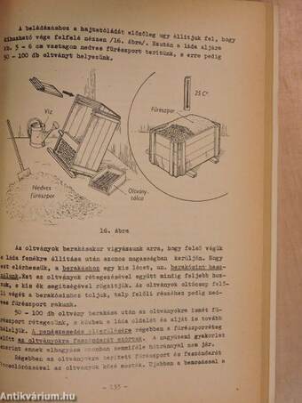 Szőlőtermesztés I.