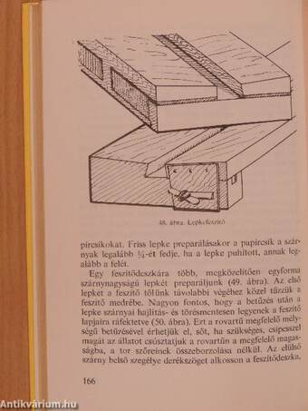 Növények és rovarok preparálása