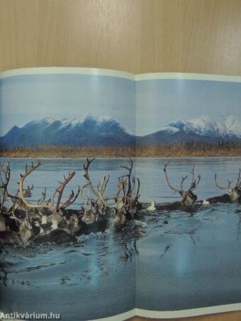 National Geographic December 1988