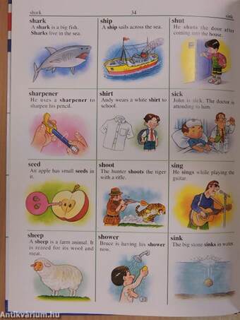 My First Picture Dictionary