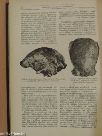 Természettudományi Közlöny 1933. január-december/Pótfüzetek a Természettudományi Közlönyhöz 1933. január-december