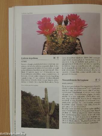 Kaktuszok enciklopédiája