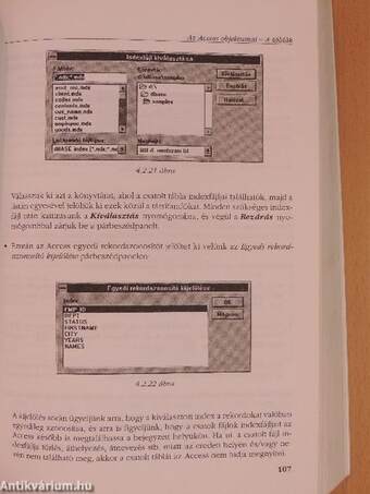 Adatkezelés az MS Access 2.0 alkalmazásával