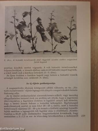 A Mezőgazdasági és Élelmezésügyi Minisztérium 1967. évi főbb kutatási eredményei