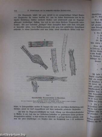 Mittheilungen aus den Königlichen technischen Versuchsanstalten zu Berlin 1888/3. (gótbetűs)