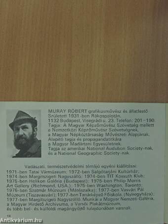 Muray Róbert Kiállítás