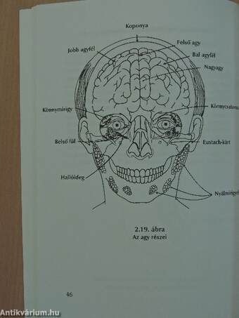 A stressz életerővé alakításának taoista módszerei