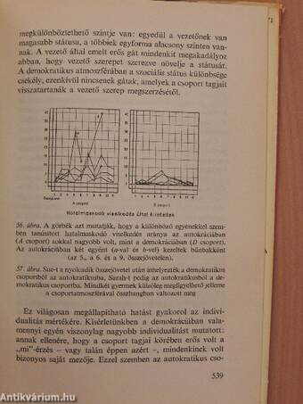 A mezőelmélet a társadalomtudományban