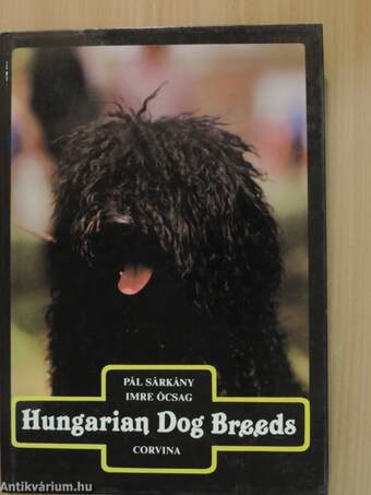 Hungarian Dog Breeds