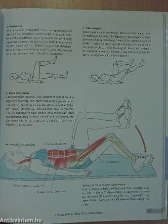 Fitneszanatómia nőknek