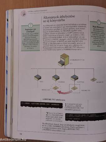 A számítógép és az MS-DOS