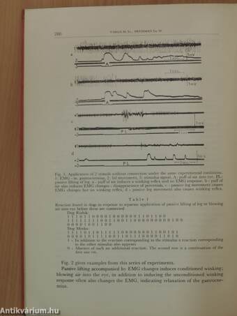 Central and Peripheral Mechanisms of Motor Functions