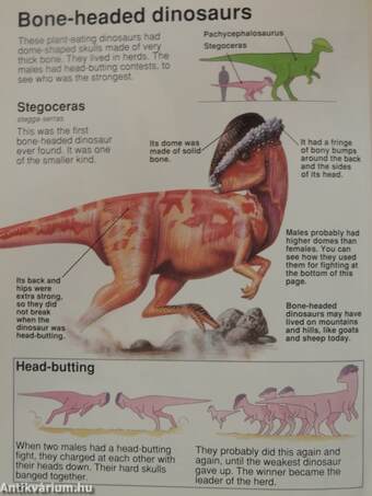 The Usborne Book of Dinosaurs