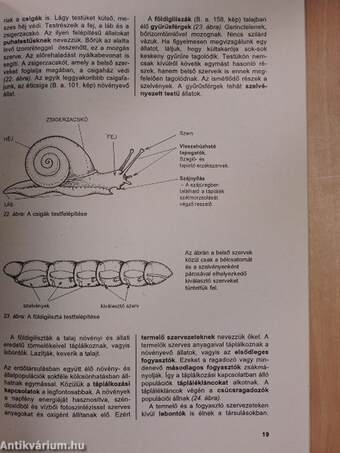 Biológia 12-13 éveseknek