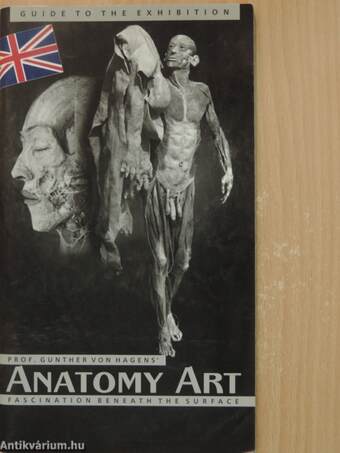 Anatomy Art