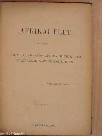 Afrikai élet