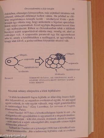 Orvostudomány a feje tetején