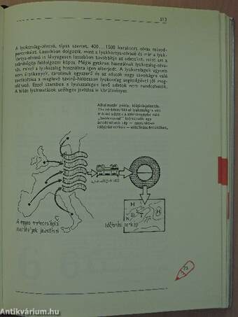 Kulcs a számítógéphez I-II.