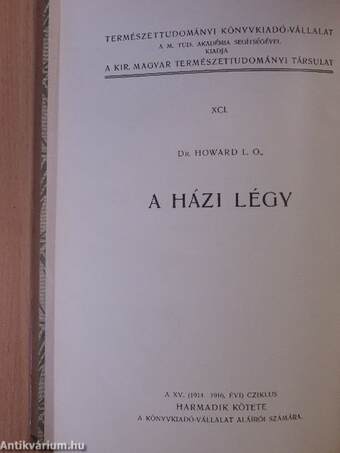 A házi légy