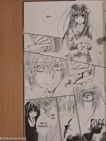 Vampire Knight 10.