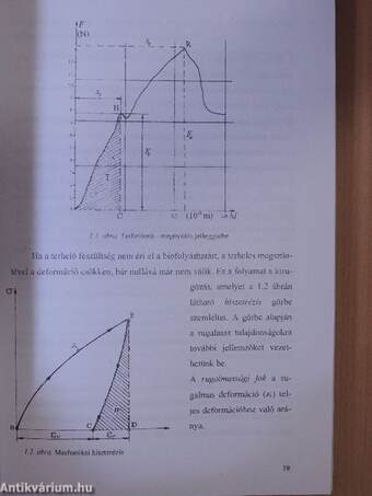 Agrofizika